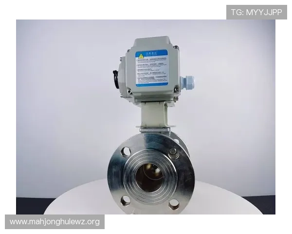 如何根据不同工况选购高品质的PGS电动执行器以确保设备安全运行